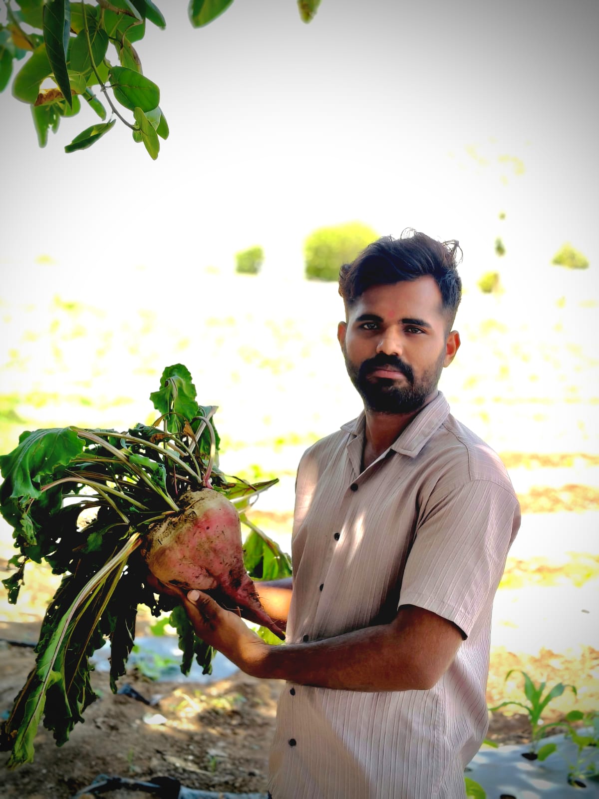 Farmer seated in the field with melons